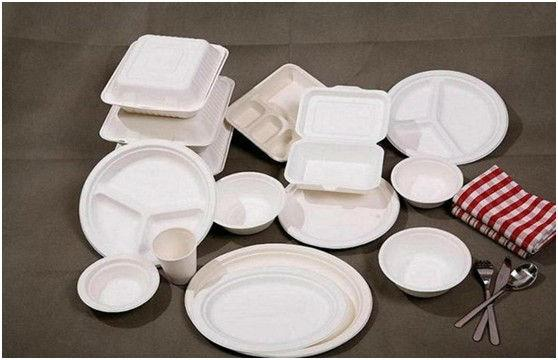 我国生物可降解塑料市场现状及广阔前景