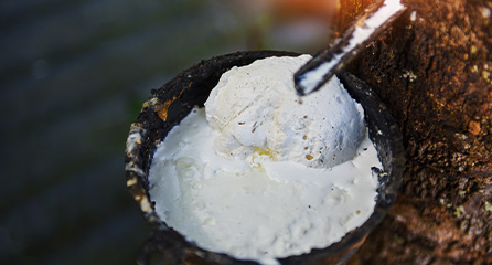 橡胶深度特需分析